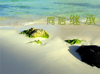 ͬ�����gһ����������һ���ɷ��^��