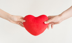 ��͢�Pע | �P��ͬ���Pϵ�m�������P���}